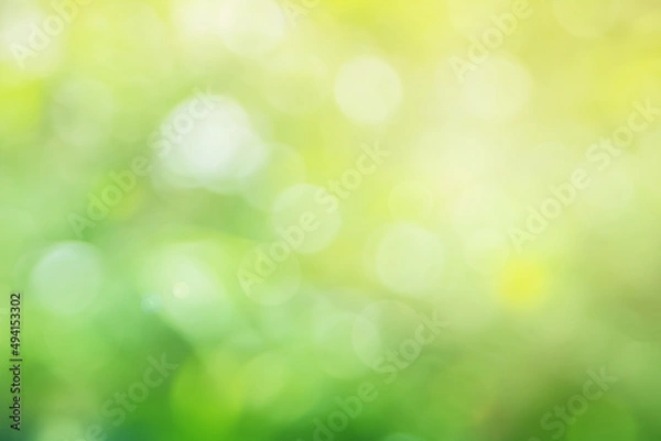 Obraz Abstract blurred green color for background, Blur leaves at the health garden outdoor and white bubble focus.