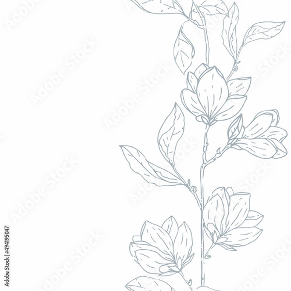 Fototapeta Vector Beautiful Delicate Magnolia Florals Lineart Border seamless pattern background. Perfect for fabric, scrapbooking and wallpaper projects.