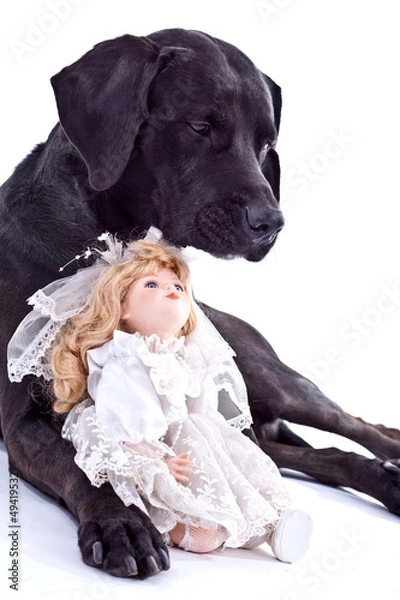 Fototapeta Hundeliebe