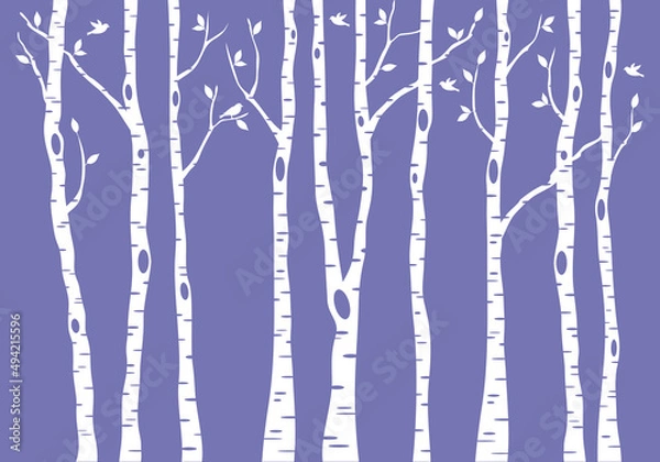 Obraz birch tree forest, vector background illustration