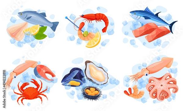 Fototapeta Collection delicious seafood products serving into ice cubes, lemon, herb mint vector flat