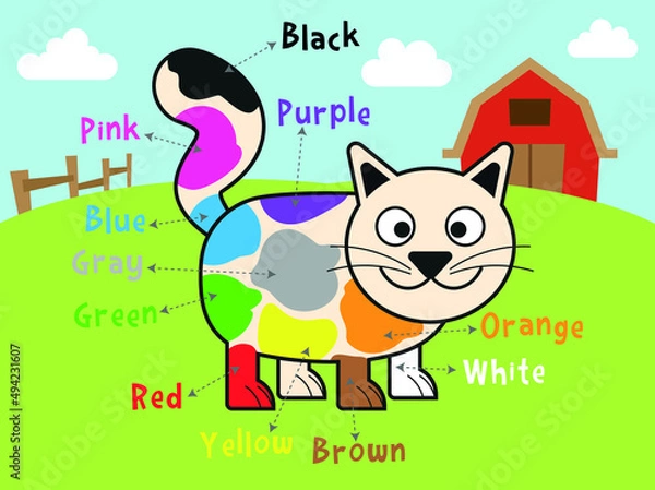 Obraz Poster for  learning  colors withCute cat