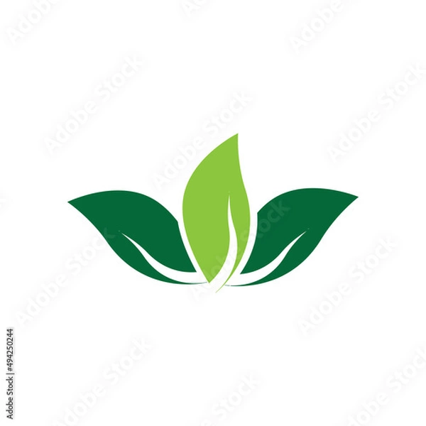 Fototapeta leaf logo vector template ilustration and icon design