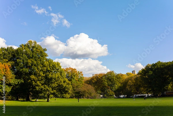 Fototapeta Clouds float over the rows of trees around the Sheep Meadow in Central Park in autumn on November 03, 2021 in New York City NY USA. 