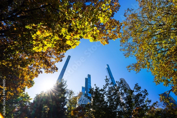 Fototapeta The sun illuminates autumnal leaf color trees in Central Park from among the Ultra-luxury high-rise residential skyscraper in Billionaires’s Row on November 2021 at New York City NY USA.