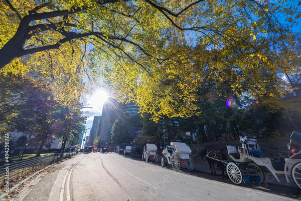 Fototapeta The sun illuminates autumnal leaf color trees in Central Park from among the Ultra-luxury high-rise residential skyscraper in Billionaires’s Row on November 2021 at New York City NY USA.