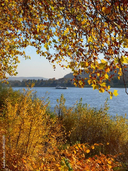 Obraz Rheinschifffahrt