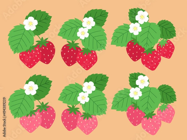 Obraz いちごのイラストセット(葉、花つき)