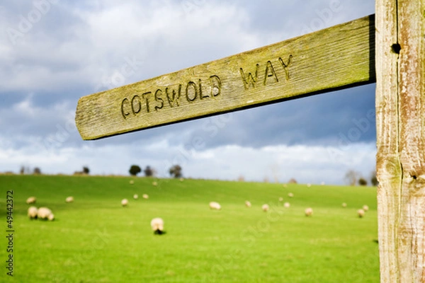 Fototapeta The Cotswold Way