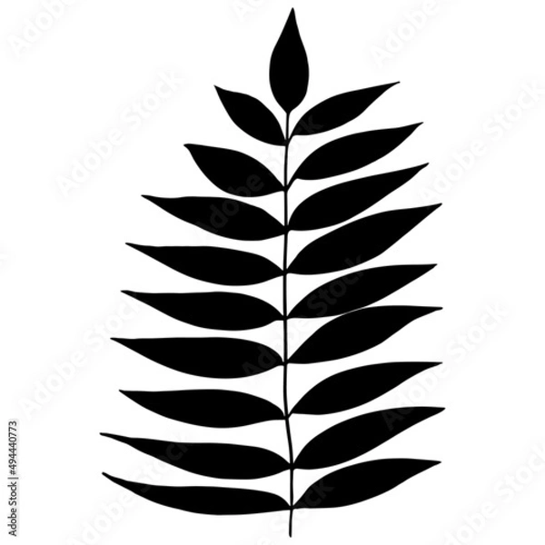 Fototapeta Hand drawn forest leaf, branch. Vector illustration for  card, home decor. 
Isolated on white backdrop. 