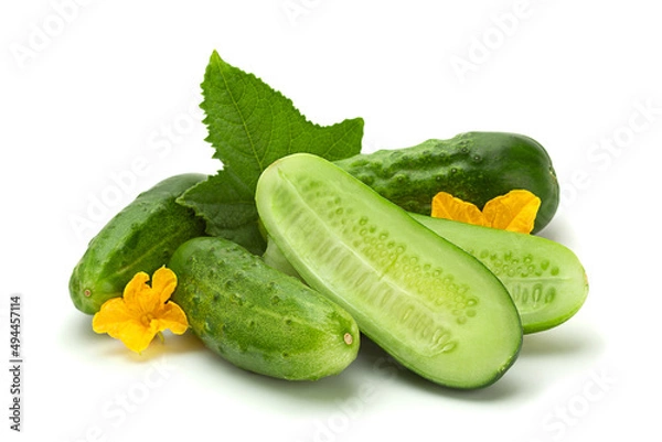 Fototapeta cucumber vegetable closeup on white