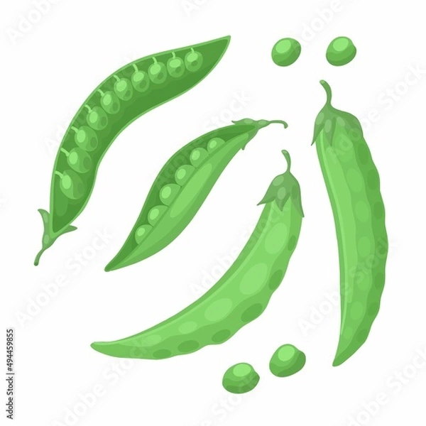 Fototapeta Vector image of green pea pods. Set of pods and peas on a white background in cartoon style