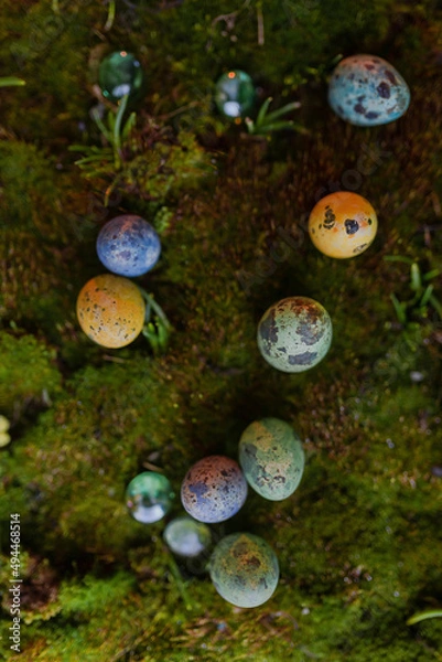 Fototapeta Easter colored eggs on green grass with blurred background