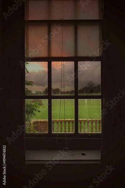 Obraz Window garden view