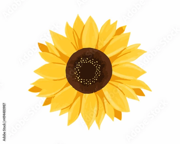 Obraz Sunflower Yellow Color Vector