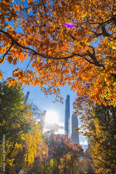 Fototapeta The sun illuminates autumnal leaf color trees in Central Park from among the Ultra-luxury high-rise residential skyscraper in Billionaires’s Row on November 2021 at New York City NY USA.