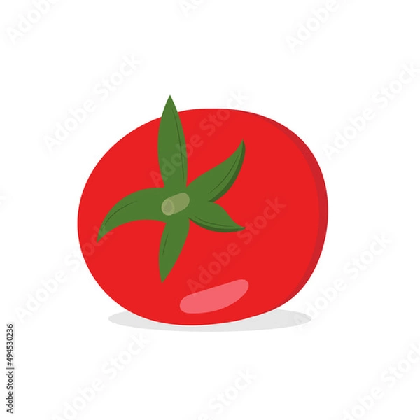 Obraz Red vegetable tomato. Single element. Vector.