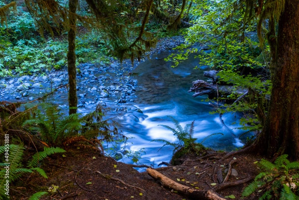 Obraz Sol Duc falls, olympic national park, waterfall, log rushing water, trees, bushes, 