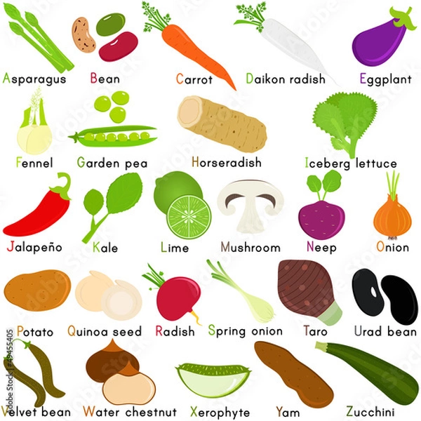 Fototapeta Vector Icons of Vegetable with Alphabet A to Z
