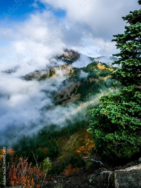 Obraz Hurricane Ridge, olympic national park, clouds, trees, mountain top, sky, cloud shrouded 