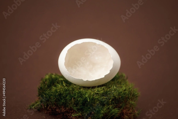 Fototapeta Chicken egg shell in moss on a brown background closeup