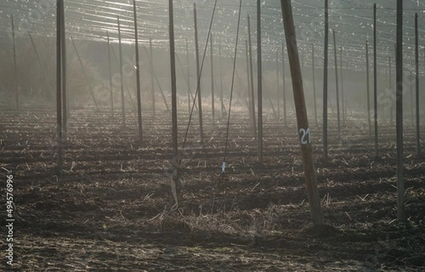 Obraz Hop field with high construction