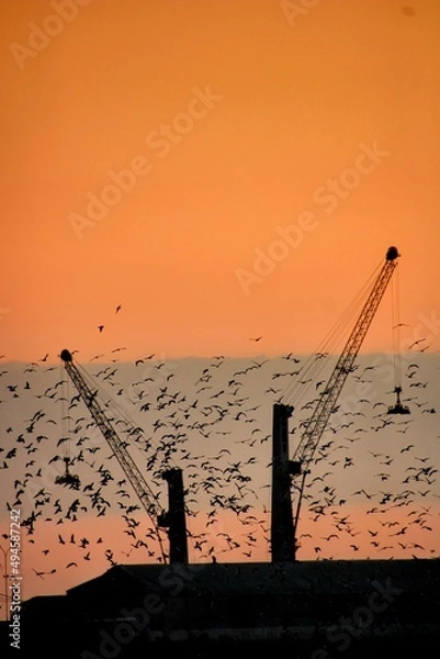 Obraz sunset over the city