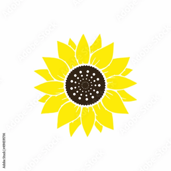 Obraz Sunflower Vector Bright Yellow Color