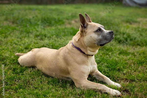 Obraz Ah, This Is The Life!