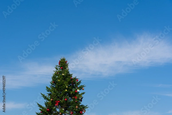 Fototapeta 青空とクリスマスツリー
