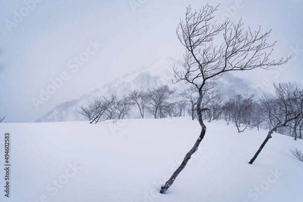Obraz 厳冬期の谷川岳