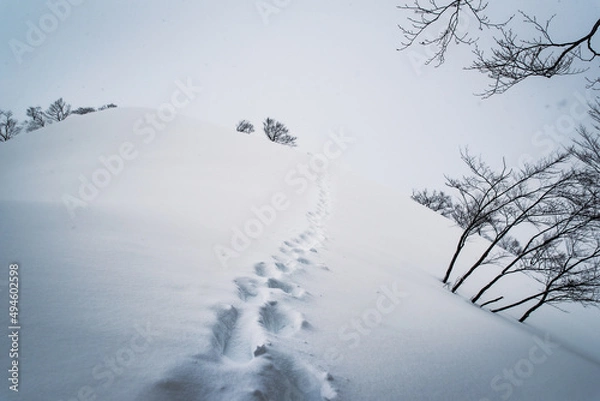 Obraz 厳冬期の谷川岳