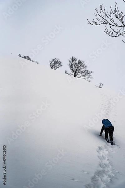 Obraz 厳冬期の谷川岳
