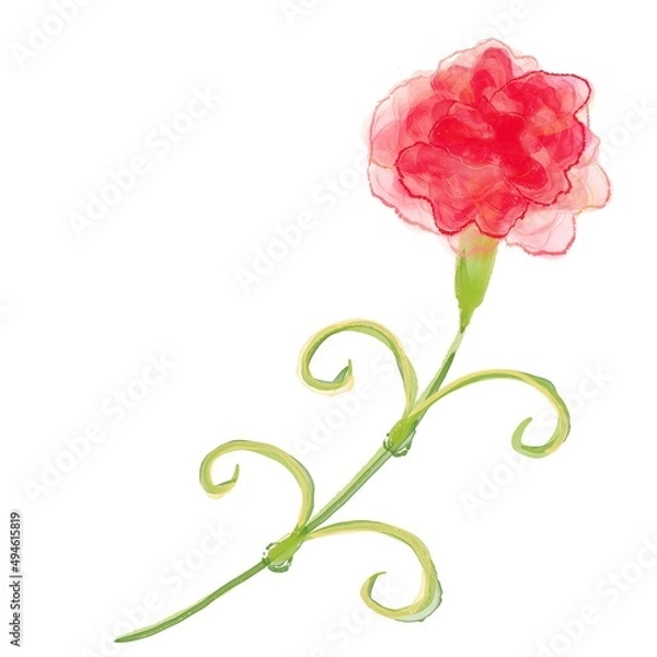 Fototapeta 水彩手書き風のカーネーションのイラスト