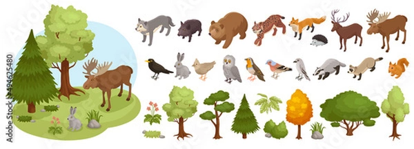 Obraz Forest Animals Big Set