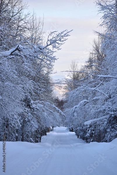 Fototapeta Winter road