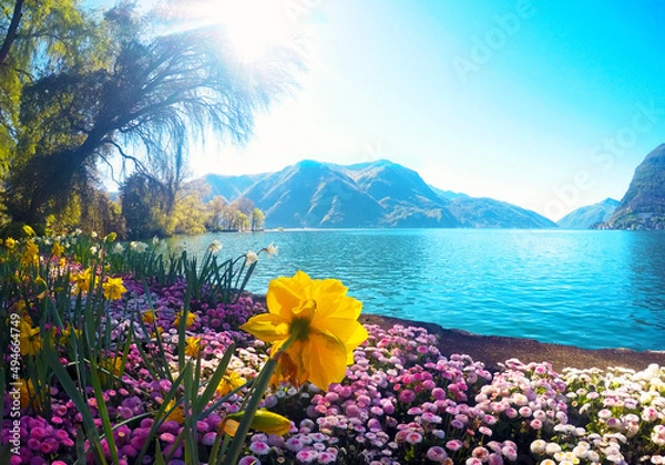 Fototapeta Colourful flowering on the lake  against the background of green mountain, an attractive view of Lake Como in Lugano, İtaly.
