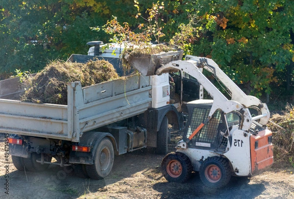 Fototapeta A skid steer loader clears the site for construction. Land work by the territory improvement. Machine for work in confined areas. Small tractor with a bucket for moving soil, turf and bulk materials.