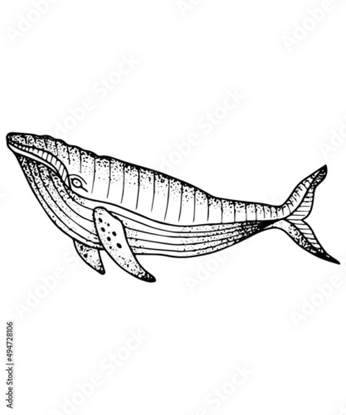 Obraz Whale Vector Dot Work