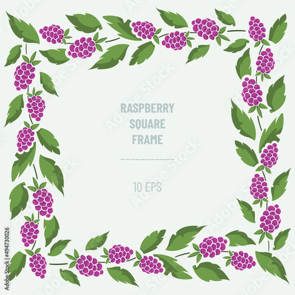 Fototapeta Vector frame with blackberries and foliage; square border composition. Perfect for greeting cards, posters, banners, invitations and other design.