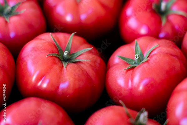 Obraz Piękne świeże pomidory przygotowane do sprzedaży na targu / Beautiful fresh tomatoes prepared for sale at the market