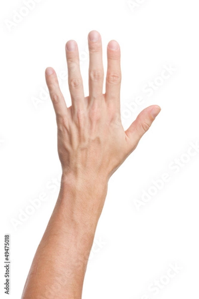 Obraz Hand gesture