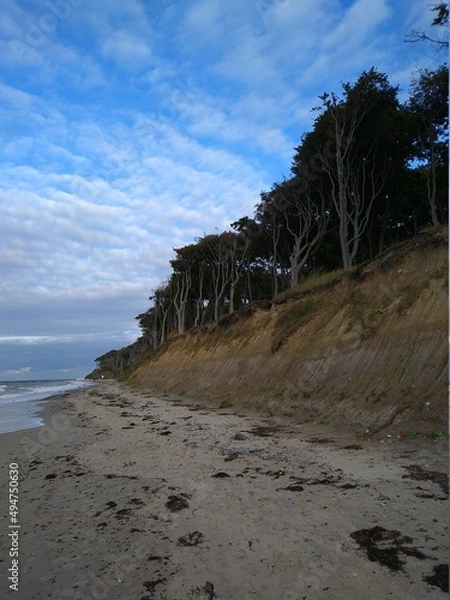 Fototapeta Steilküste mit altem Wald