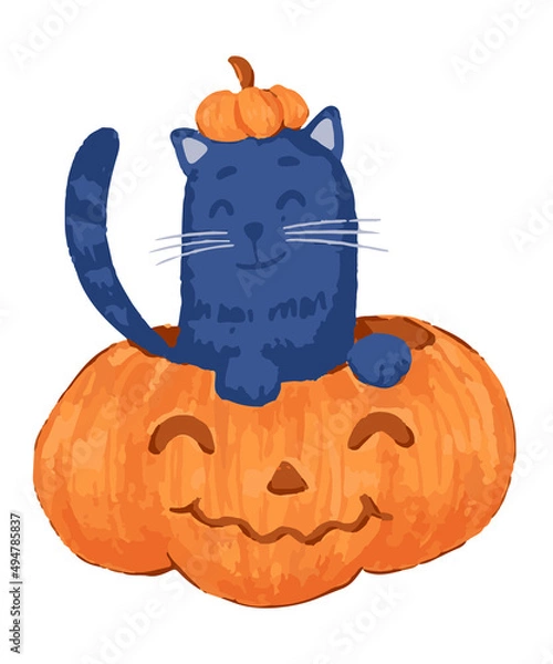 Obraz Cat in Pumpkin