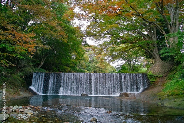 Obraz 滝の風景（日本の山形県）