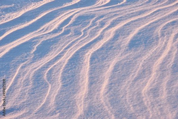 Obraz beautiful background of snow patterns