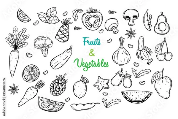 Fototapeta fruit and vegetables collection with hand drawing or doodle style
