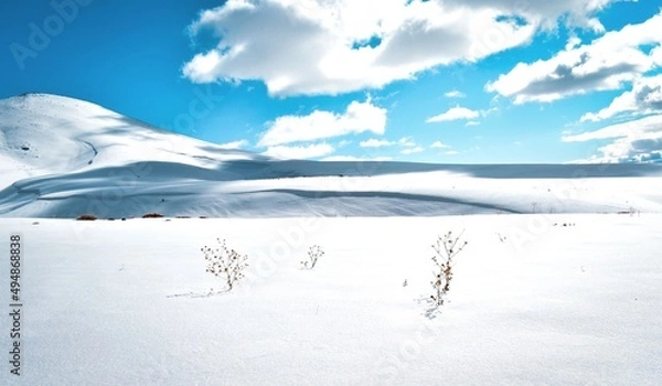 Fototapeta landscape