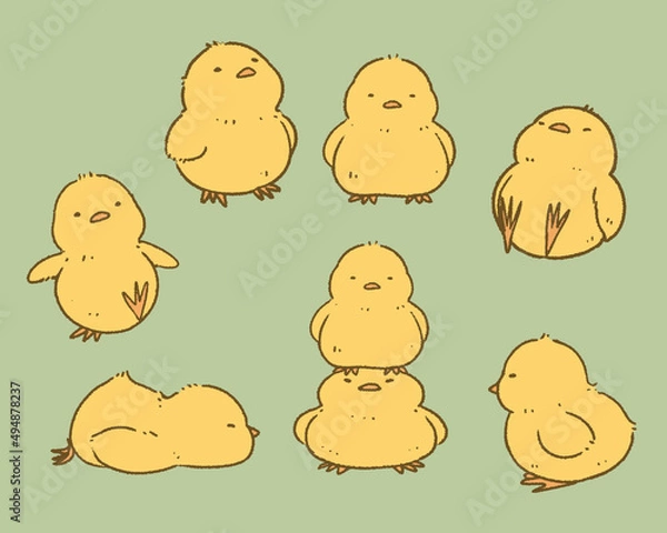 Obraz ひよこのカラーイラスト