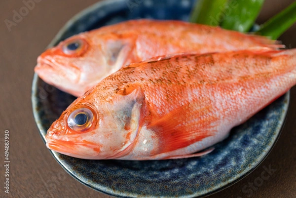 Obraz 新鮮なのどぐろ